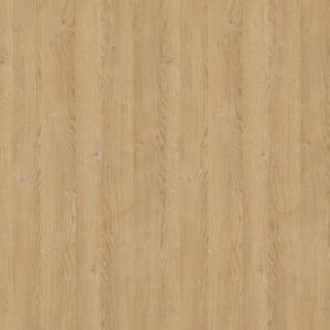 VT13A LARINA