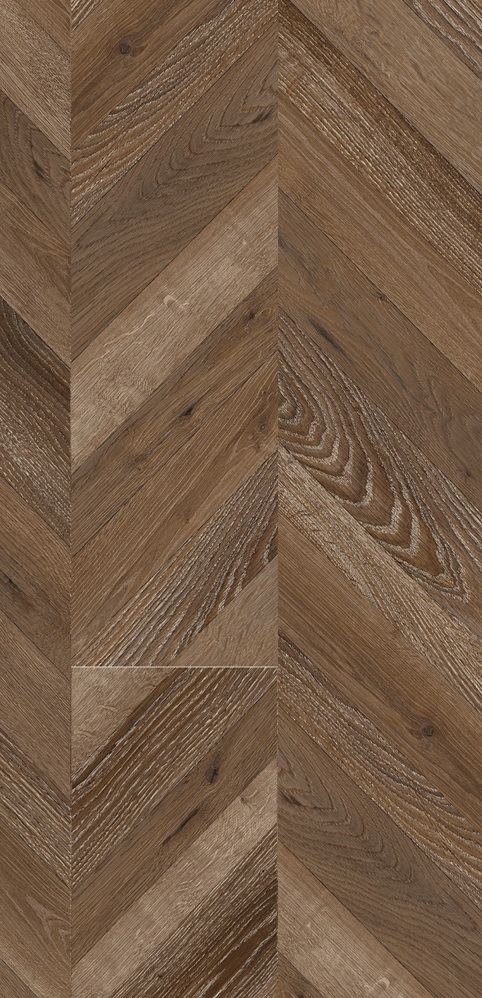 V 19C - Otanik Macar